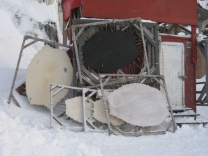 Huiden van zeehonden opgespannen